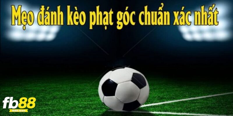 Chiến thuật bắt kèo phạt góc chuẩn đến từ chuyên gia 